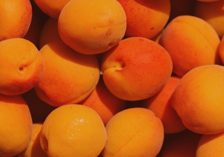 Close shot of the mangoes